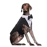 DORA BRIDAL Formal Dog Tuxedo for Medium Large Dogs, Labrador Pet Wedding Party Suit Outfit with Det