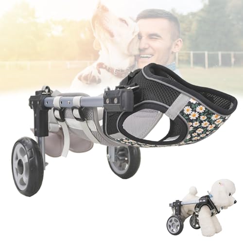 Fauteuil roulant pour chien handicapé et chat réglable léger | Chariot de marche pattes arrière