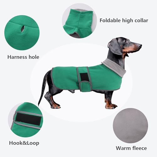 MOREZI Winterhundejacke mit wattiertem Flusenfutter, verstellbarem Klettknopf und hochklappbarem Stehkragen. Sehr gut geeignet für Dackel und kleine und mittelgroße Jagdhunde-Grün-XS