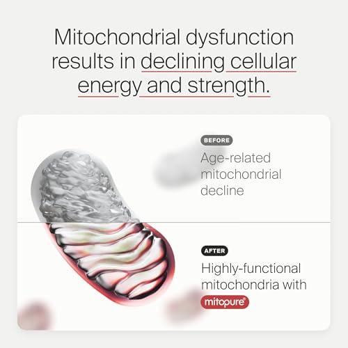 Image of Timeline Mitopure Urolithin A Supplement Powder 500 MG- Clinically Proven Support for Healthy Aging and Cellular Renewal - Mitoceutical for Muscle Support and Longevity