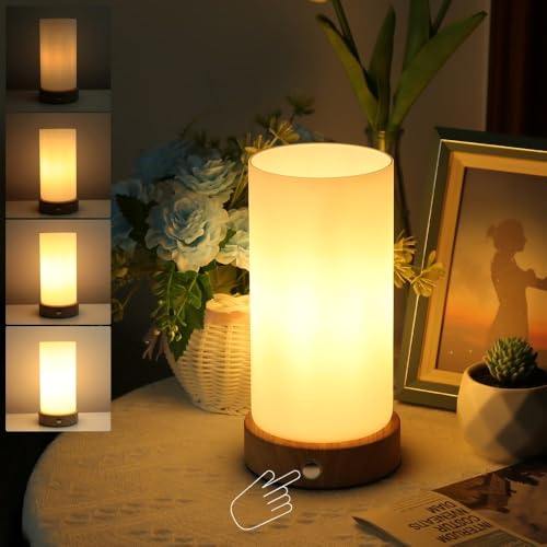 HSLighting Cordless Table lamp Touch Control, Battery Operated Glass Shade Desk Lamp with Brightness 5%-100% Stepless Dimmable Rechargeable Bedside Lamp for Dining Room Bedroom Bedside Outdoor