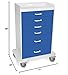 TrippNT 51071 Polyethylene Procedure Cart, Locking, 31