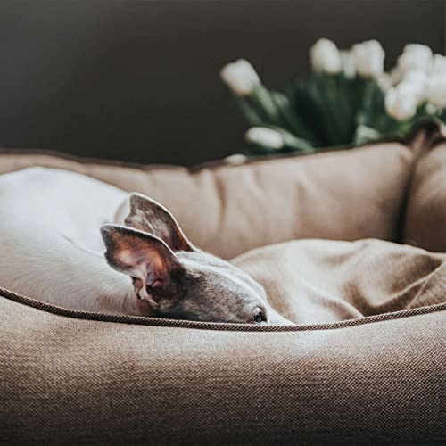 HUNTER Livingston Hundesofa, Hundebett, Strukturstoff, klassisch, L, braun, 100 x 75 x 35 cm