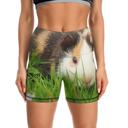 Cute Guinea Pig Pattern High Waist Yoga Shorts for Women Athletic Shorts Leggings Running Pants Black