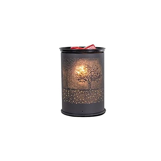 4K Wax Warmer with Hidden Camera