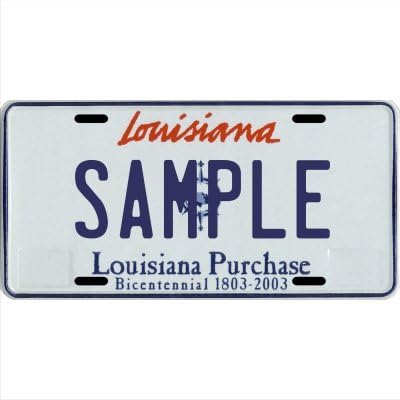 Placa de metal personalizada para matrícula, tu nombre es tu estado. Elige entre los 50 estados.