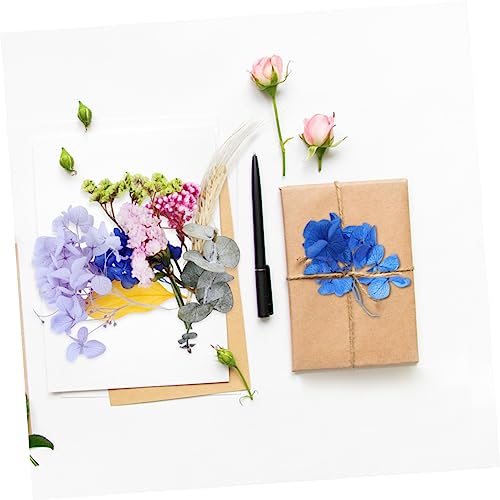 ULDIGI 1 Caixa Flores Secas Misturadas Espalhadas Em Caixa Flores Secas Naturais Vaso De Flores Seca