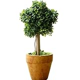 Petite plante topiaire artificielle en buis avec pot   Mini verdure artificielle pour décoration d'intérieur, table, étagère et bureau (1, étoile)