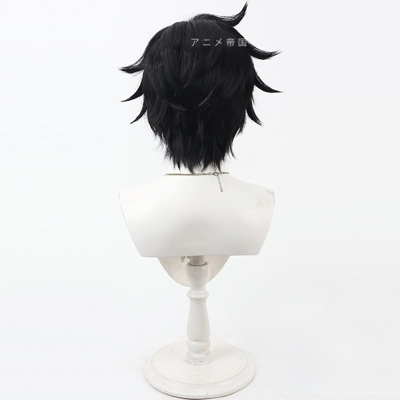 Amazon.co.jp: 【即納 】桃源暗鬼 淀川真澄 コスプレウィッグ