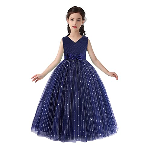 Girls Dress Party Dress for Girls Knee Length Cute Priness Dress Christmas Holiday Dress2