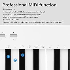 WJCCY 37 Touches Multi-funcations Midi Clavier Portable Electronic Piano numérique orchestrations Instrument de Musique… - Les Beatles, Paul McCartney, John Lennon, RIngo Starr, George Harrison WJCCY 37 Touches Multi-funcations Midi Clavier Portable Electronic Piano numérique orchestrations Instrument de Musique… – Image 5