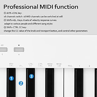 WJCCY 37 Touches Multi-funcations Midi Clavier Portable Electronic Piano numérique orchestrations Instrument de Musique… - Les Beatles, Paul McCartney, John Lennon, RIngo Starr, George Harrison WJCCY 37 Touches Multi-funcations Midi Clavier Portable Electronic Piano numérique orchestrations Instrument de Musique… – Image 5