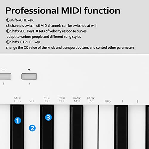 WJCCY 37 Touches Multi-funcations Midi Clavier Portable Electronic Piano numérique orchestrations Instrument de Musique… - Les Beatles, Paul McCartney, John Lennon, RIngo Starr, George Harrison WJCCY 37 Touches Multi-funcations Midi Clavier Portable Electronic Piano numérique orchestrations Instrument de Musique… – Image 6