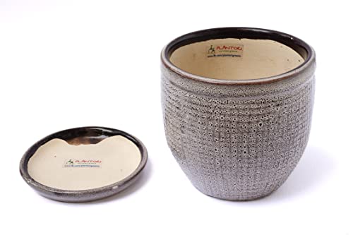 Image of Pot for Plants with Tray /Plate | Flower Pot for Indoor Plants, Bonsai, Cactus | Planter for Living Room, Home & Office Decor, Ceramic Flower Pot(Grey Garden Pot, 5 inches)