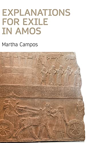 Explanations for Exile in Amos (Hebrew Bible Monographs) (English and Hebrew Edition)