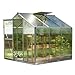 Produktbild GFP Gewächshaus Viola Alu-Rahmen 222x223 cm, 6 mm Doppelstegplatten, mit automatischem Fensteröffner & Fundament