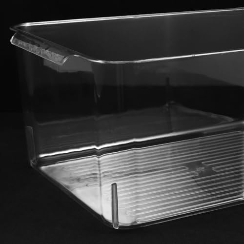 Micro-terrarium paysager transparent pour poisson betta et crevette d'aquarium - 4