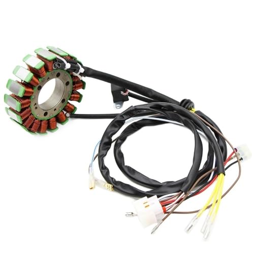 Bobine de stator pour restaurer l'allumage du UTV PR 500 en randonnée