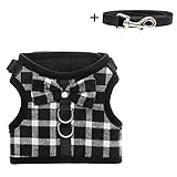 BINGPET Escape Proof Cat Harness - Adjustable Vest and Leash Set