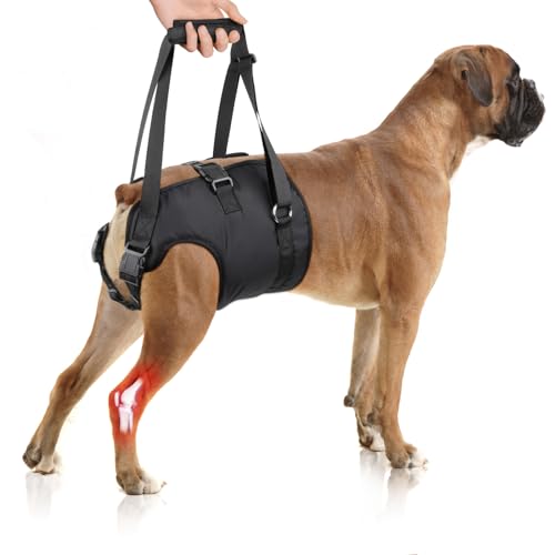 Visiklit hbOtgn[lX - ^ё^̌둫A֐߉A֐ߑ̂VjAp̒߉\ȃXO-sAKiA񕜂̂߂̃nhtT|[gn[lX - XL