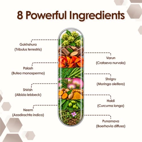 Image of Vedik Roots UroEase Kidney & Uric Acid Support Supplement with Punarnava & Gokhru for Urinary Health 60 Veg Capsules (Pack of 3)