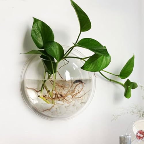 Aquarium mural en acrylique transparent suspendu pot fleur rond