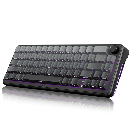 RedThunder K65 Wireless Mechanical Gaming Keyboard, Trip-Modes Connection, Gasket Custom Hot-Swap Keyboard, RGB Backlit, Pre-lubed Linear Switches, Side Engraved PBT Keycaps, Gradient Gray