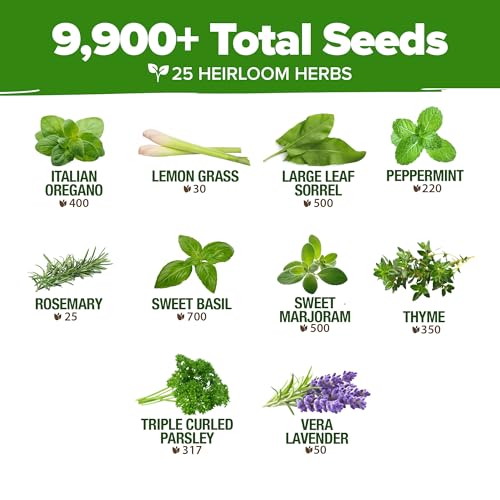 Image of HOME GROWN 25 Herb Seeds for Planting 8,700+ Non-GMO Heirloom Seeds | Extra Large Variety Pack Herb Kit - Indoor Outdoor & Hydroponic | Culinary Seed Set | Grow Your Own Herbs | Gardening Gift