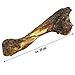 Heim GmbH Hirschknochen Natur mit kräftigem Wildaroma Ca. 350 g, ca. 25 cm