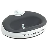 Heyrex Torus 1-Liter Pet Water Bowl, Charcoal