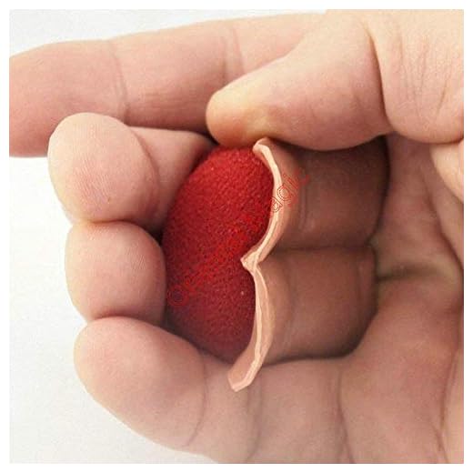 ZQION Sanada Gimmick Rutinas Trucos de Magia Increíble Escenario Primer Plano Magia Aparece Desapareciendo Magia Ilusión Gimmick Accesorios Magia