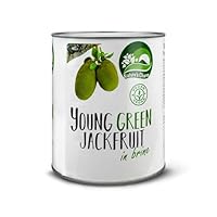 Nature’s Charm junge grüne Jackfruit in Lake – Salzig eingelegte, vegane Köstlichkeit – Ideal für Salate, Currys und Suppen – 1 x 2900 g