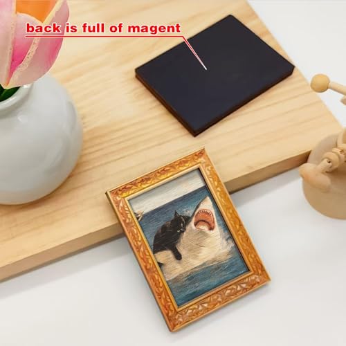 Imán decorativo mini gato sobre tiburón miniatura 4
