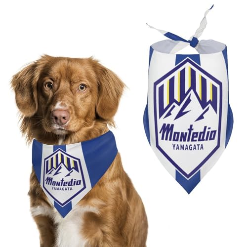 efBIR` p}t[ ybgpOp  Xk[h ybg _炩 킢 pt^I ybgpi