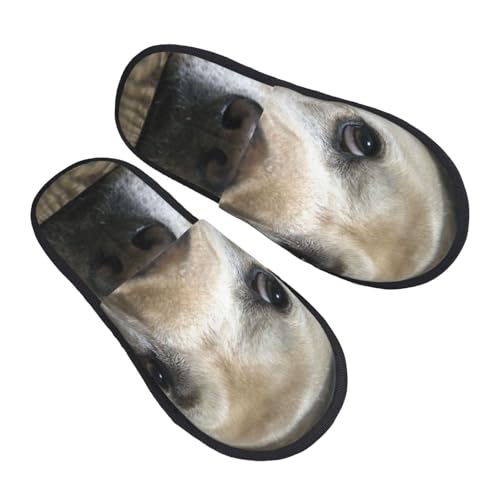 [ZOOKISS] Xbp  uh[ go[  Y  fB[X ~ 킢 qp 􂦂 gC qp p E Xbpjp v[g M