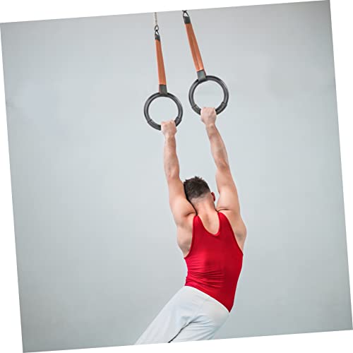 Anillas Gimnásticas Abs para Ejercicio Fitness en Casa miniatura 2