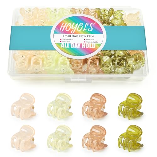 HOYOLS 36 mini pinzas para el pelo para peinar, coloridas pinzas de plástico pequeñas, fuerte sujeción para cabello fino y grueso, accesorios para mujeres y niñas (susurro de otoño)