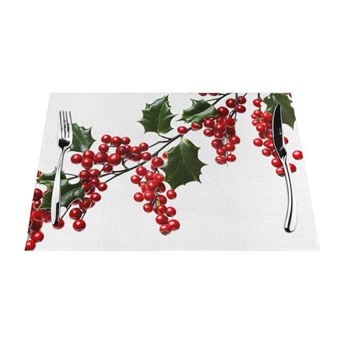 Sets de table houx lavables pour sublimer vos dîners en intérieur et extérieur - 7