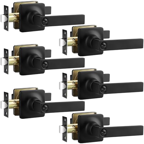 GUTENKONB 6 Pcs Matte Black Door Handles, Privacy Door Lever, Black Finish