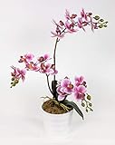 Hochwertige künstliche Orchidee mit Blüten in Real-Touch-Qualität.