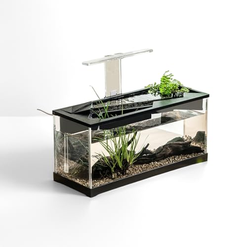 Aquarium Starter Set, Transparenter Desktop Fischbecken Mit Wasserpumpe UNH Licht, Aquarium Komplettset Ökologischem Kreislaufsystem, Fischtank für Fische und Wasserpflanzen, 38 x 14,5 x 18 cm