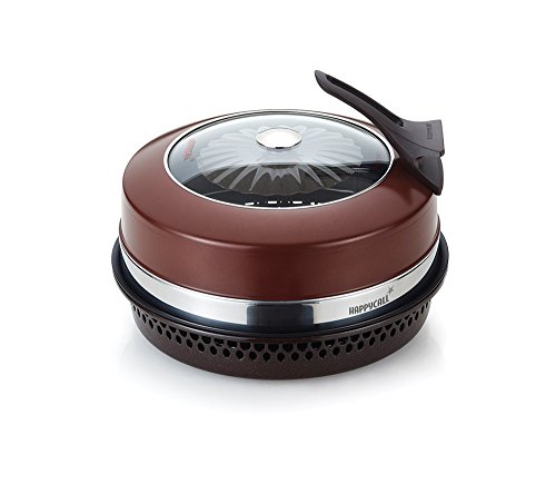 Direct Gas Fired Oven 2.0