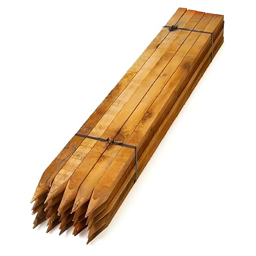 Homatz Garden Stakes 5 Pack 1.5M / 5FT Long Square Wooden Stakes - Pressure Treated Timber for Plant & Tree Support - 32mm Thick Pegs