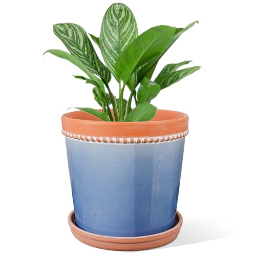 COLOAPT Ceramic Planter, 8 Inch Pots for Plants, Indoor/Outdoor Plant Pots with Drainage Hole and Saucer, Modern Flower Pot for Home Garden Patio Office - Crackle Glaze Blue