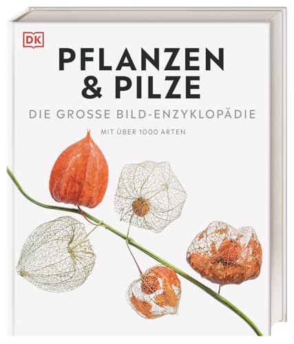 DK Bibliothek. Pflanzen & Pilze: Die große Bild-Enzyklopädie mit über 1000 Arten