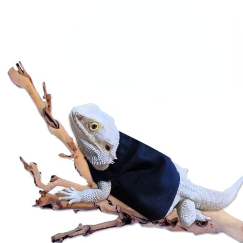 Roupas de lagarto roupas de lagarto roupas de dragão barbudo roupas com capuz para répteis suéter ca