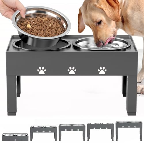 10 Elevated Dog Food Bowls Your Furry Friend Will Love And Why You Need