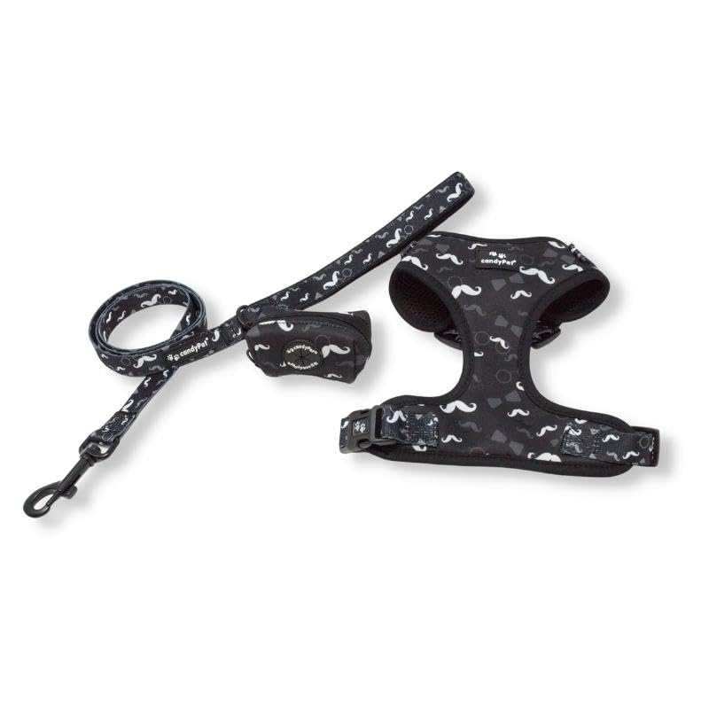 Harnais pour chien de petite taille ensemble collier réglable mesh S