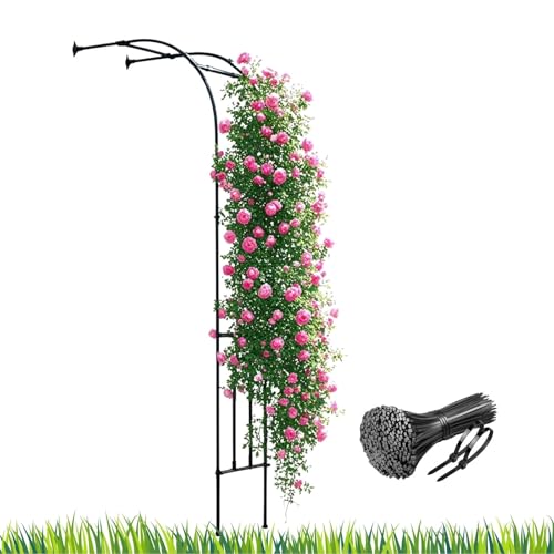 Arche de jardin avec treillis en acier support rose noir - 2