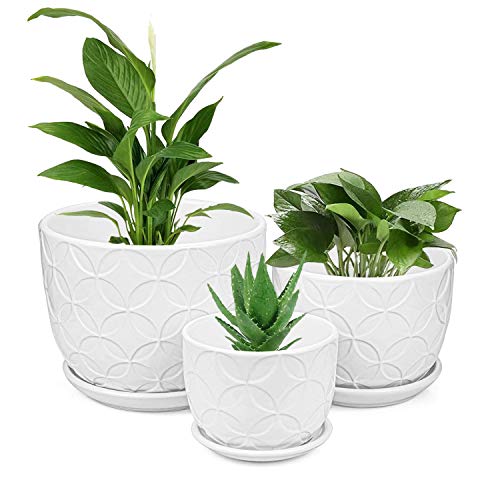 Brajttt White Flower Pots, Ceramic Plant Pots, Modern Decorative Succulent Pots, Gardening Pot with Drainage Hole for Indoor Plants Flowers Herbs, Set of 3